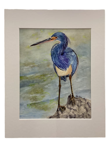 The Fisherman 1 - Tricolor Heron  - Giclée Print 5