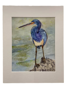 The Fisherman 1 - Tricolor Heron  - Giclée Print 5" x 7"