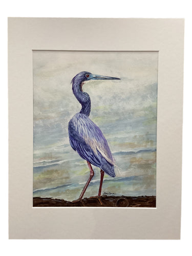 The Fisherman 2 - Tricolor Heron - Giclée Print 8