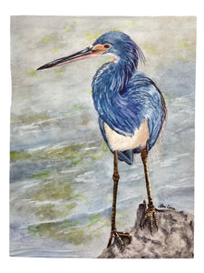 Notecard - The Fisherman 1 - Tricolor Heron  - Single Card