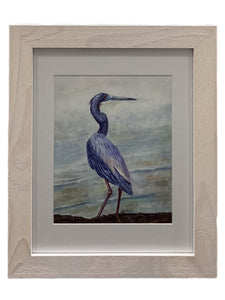 Tricolor Heron 2 - Giclée Print 8" x 10" - Framed