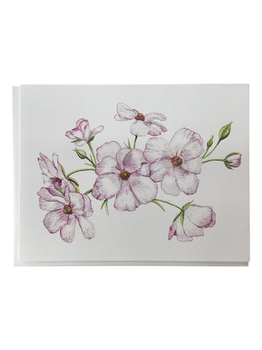 Pink Butterfly Ranunculus Flowers Card