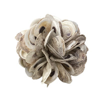 Oyster Cluster