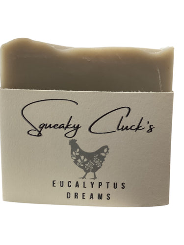 Soap - Eucalyptus Dreams