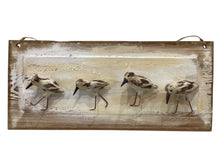 Sand Pipers