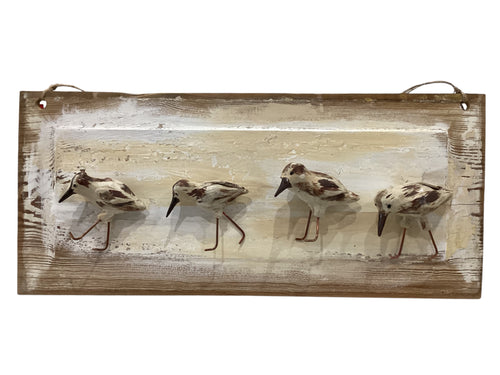 Sand Pipers