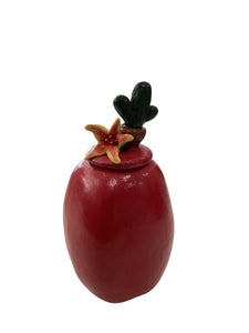 Red Vessel Cactus Lid