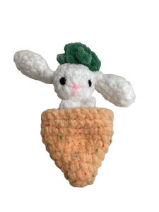 Pop Up Bunny in Carrot