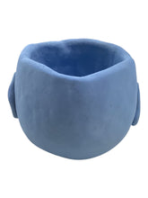 Bird Trinket Dish/Planter - Blue
