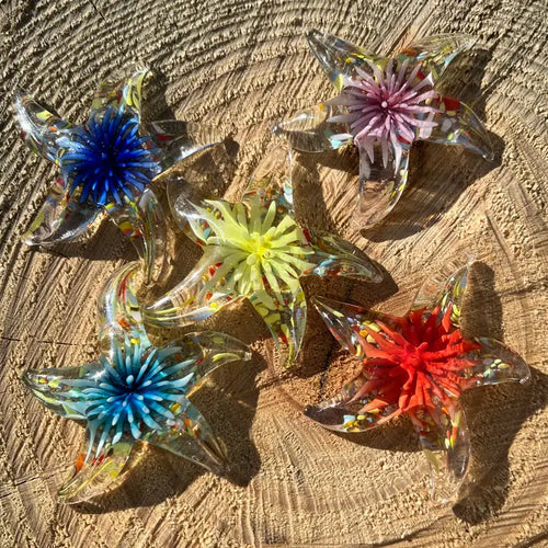 Glass Pocket Floral Stars