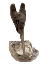 Driftwood Sculpture - Mother Natures Mystical Art