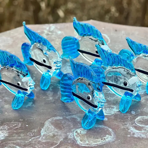 Glass Fish
