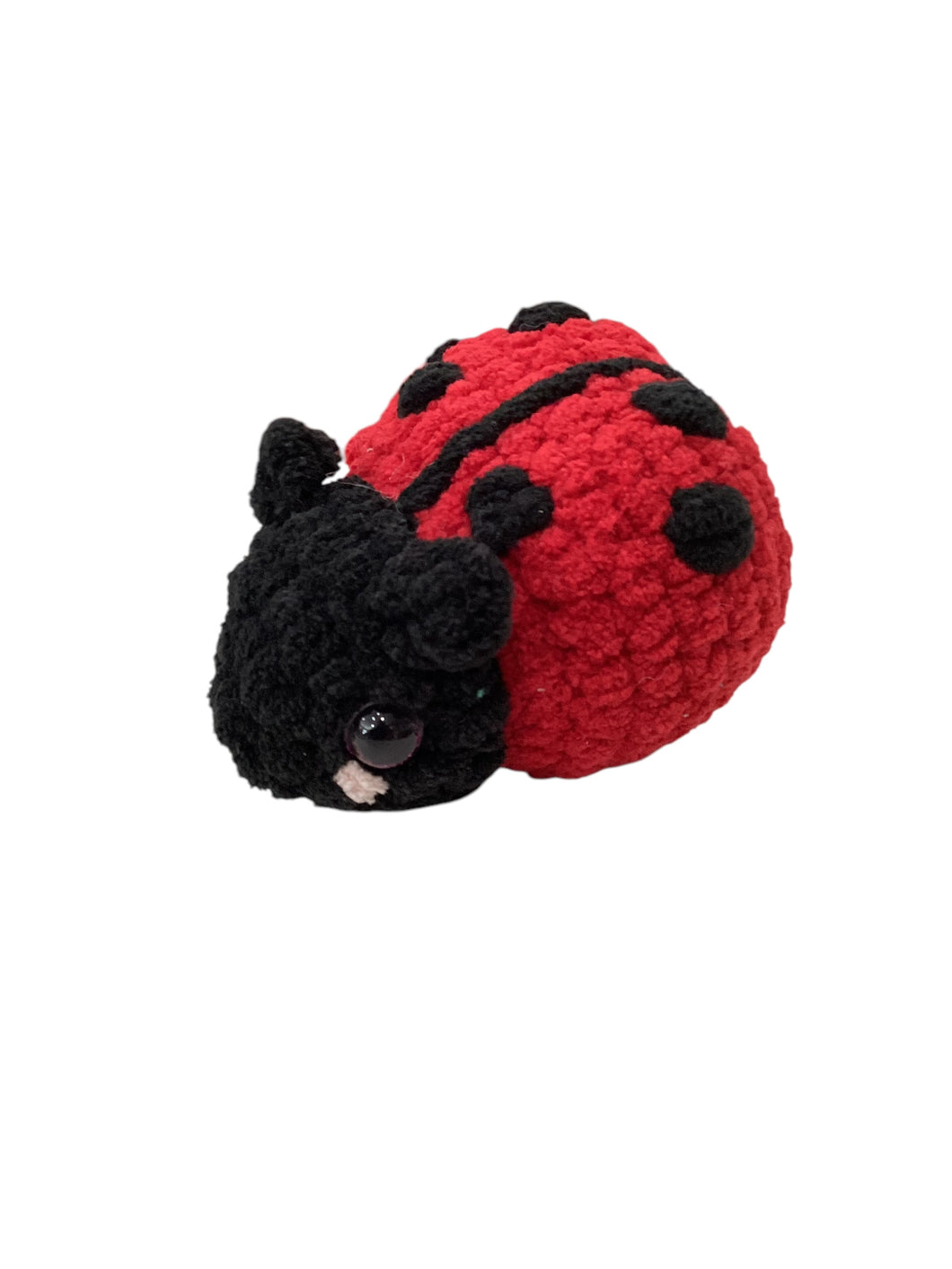 Ladybug