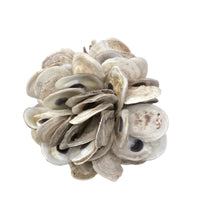 Oyster Cluster