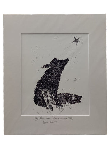 Buddy the Bonaventure Fox Star Gazing - Print - 16