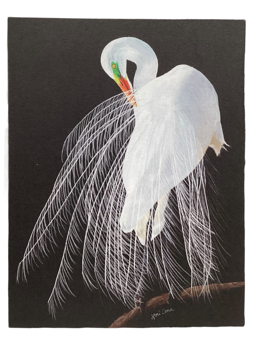 Notecard - Great Egret 2 - 5 pack