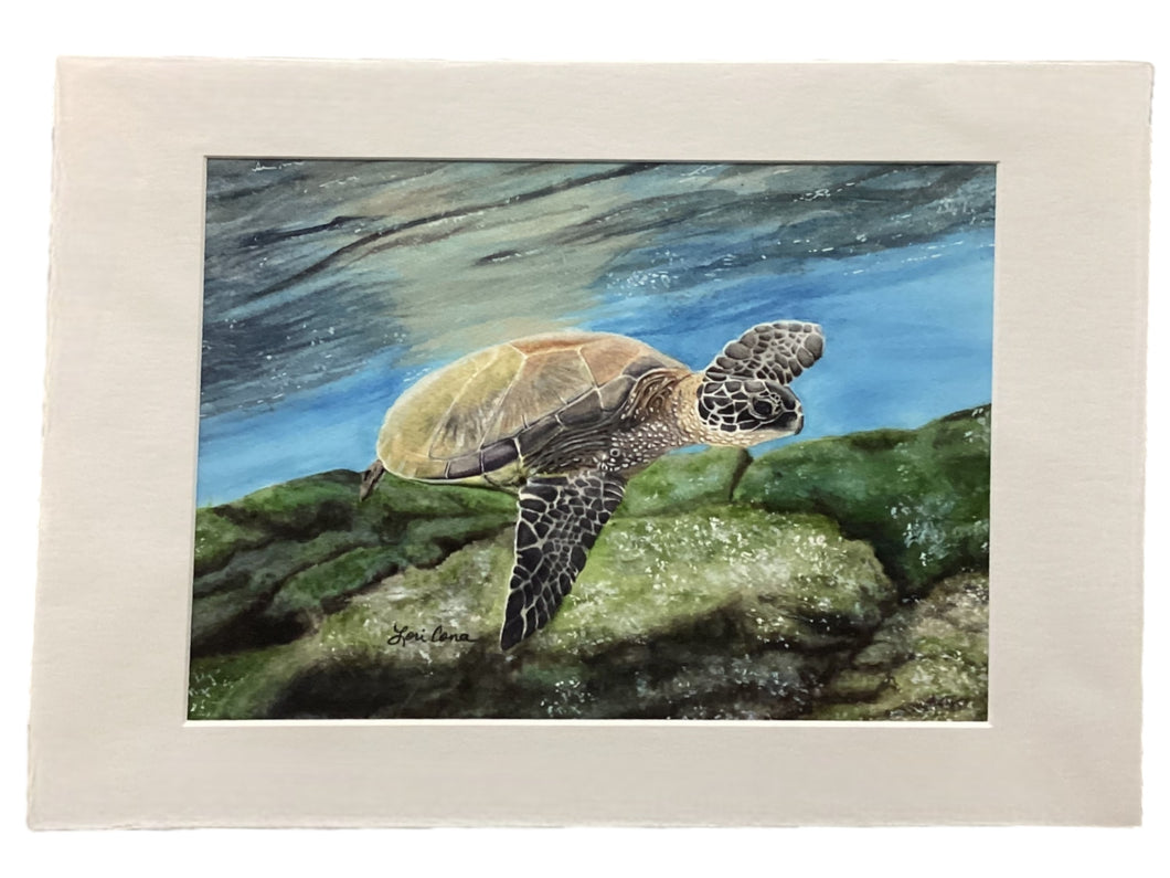 Sea Turtle - Giclée Print 9