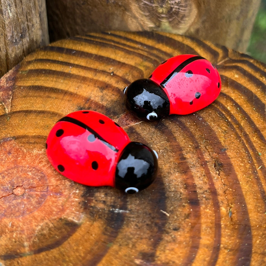 Glass Ladybug