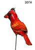 Cardinal