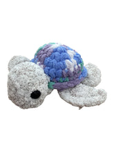 Sea Turtle