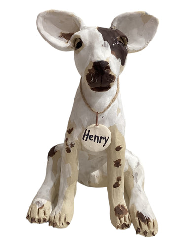Chihuahua - Henry