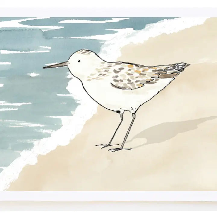 Sandpiper
