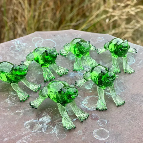 Glass Frog