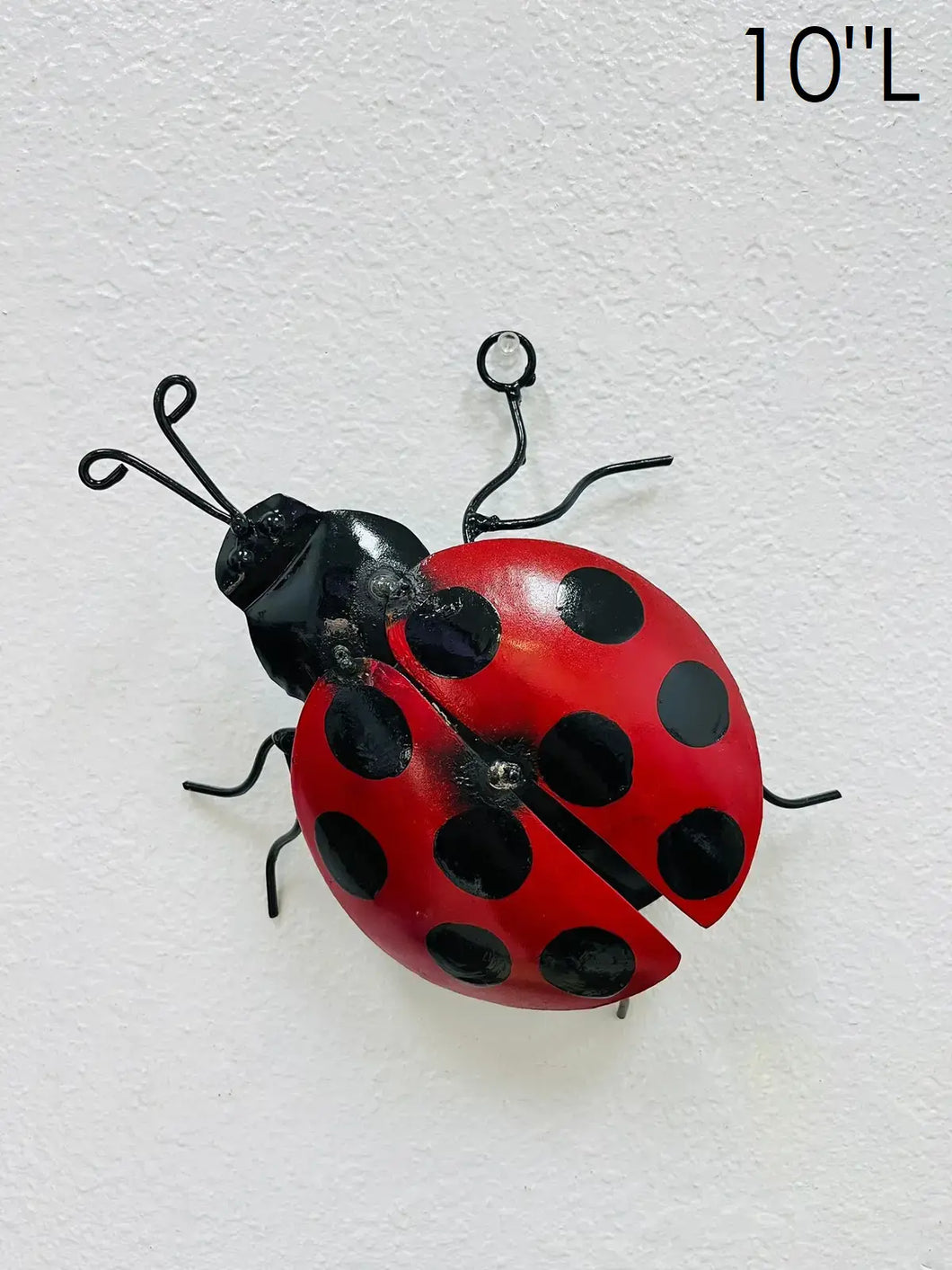 Ladybugs