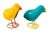 Mini Chicks