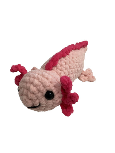 Axolotl