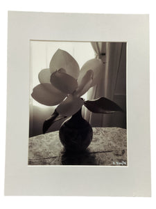 Black & White Vase - Magnolia