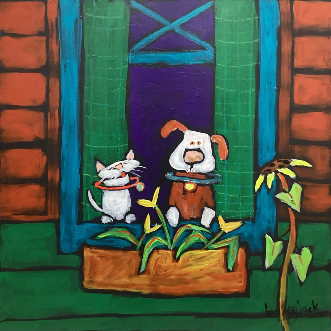 Home Security - Dog & Cat