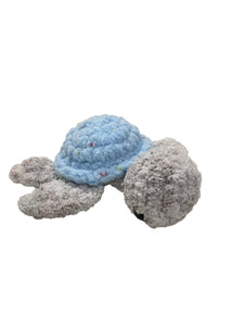 Sea Turtle