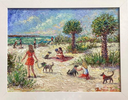 Dog Park at NSB
