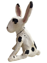 Rabbit - Dottie