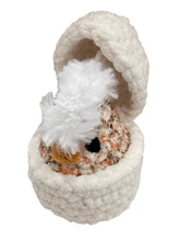 Chick in Egg
