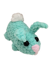 Small Colorful Bunny