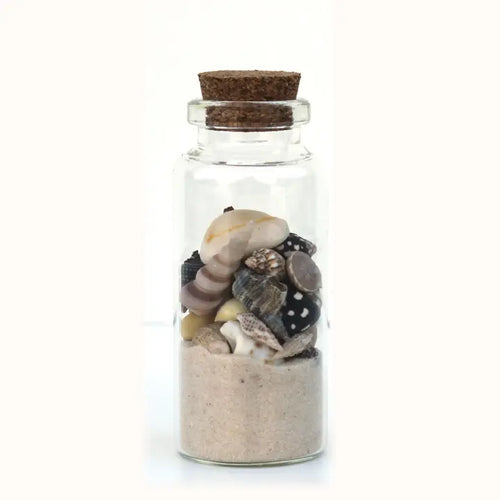 Beach Bottle Magnets - Sand & Seashells - White