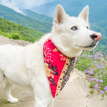 Saree Pet Bandana - Large