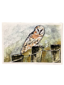 Barn Owl Foggy Mountain - Print - 5" x 7"