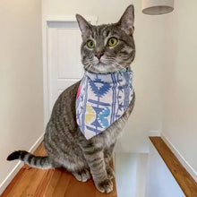 Saree Pet Bandana - Small