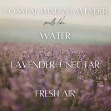 Coastal Wind & Lavender Roll-On Perfume Oil