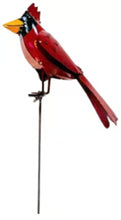 Cardinals