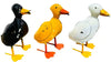 Small Duck - Assorted Colors