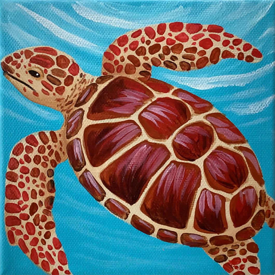 Red Sea Turtle