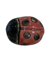 Magnet - Ladybug