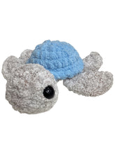 Sea Turtle