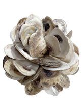 Oyster Cluster