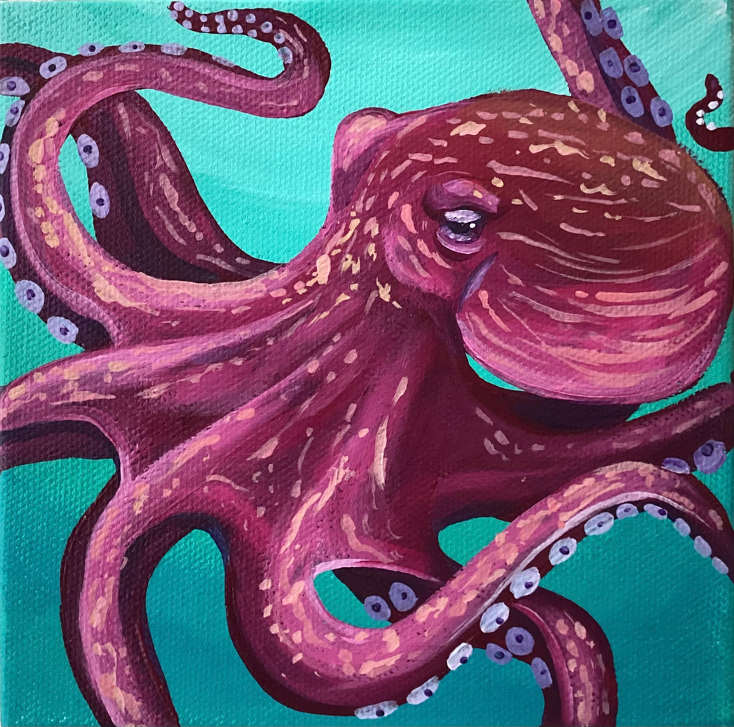 Hot Pink Octopus