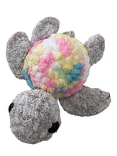 Sea Turtle